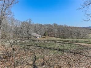 6267 Mount Pisgah Rd, Ellijay, GA 30540 - view of yard featuring a wooded view