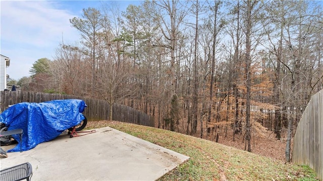 view of yard featuring a patio and a fenced backyard