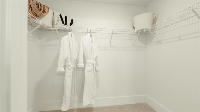 view of walk in closet