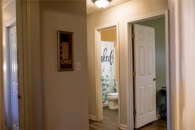 corridor featuring dark hardwood / wood-style flooring and a textured ceiling