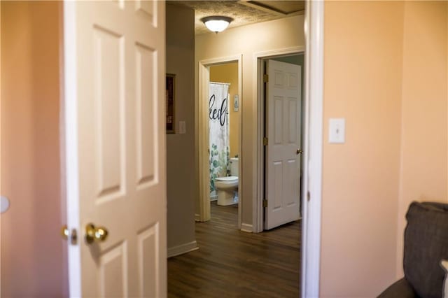 corridor featuring dark hardwood / wood-style flooring