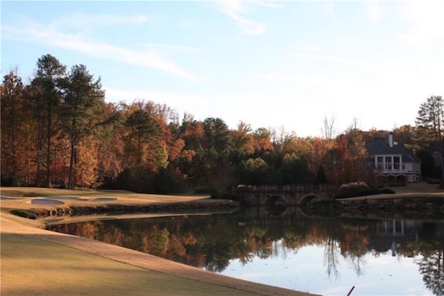 8970 Moor Park Run, Duluth, GA 30097 - water view