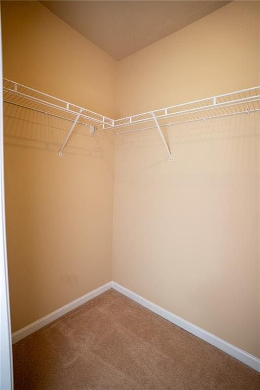 2548 Gadsen Walk, Duluth, GA 30097 - spacious closet featuring carpet flooring