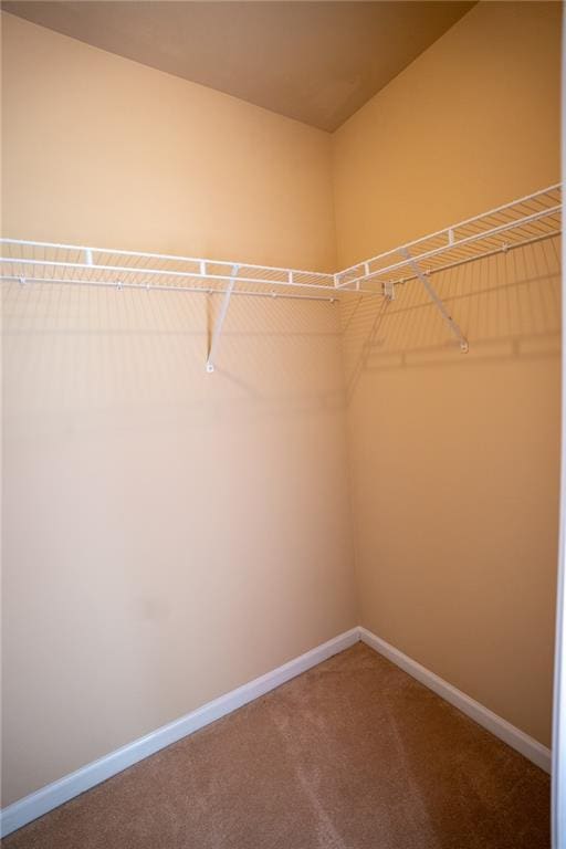 2548 Gadsen Walk, Duluth, GA 30097 - spacious closet featuring carpet floors