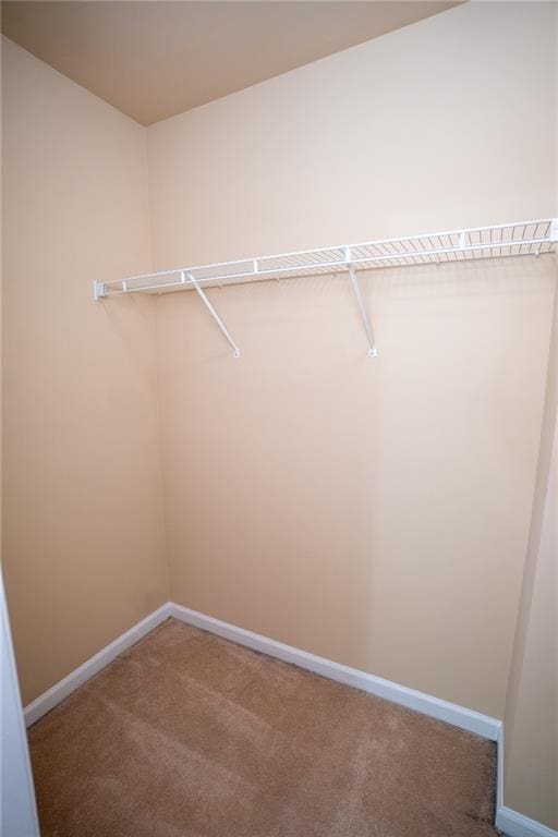 2548 Gadsen Walk, Duluth, GA 30097 - walk in closet featuring carpet floors