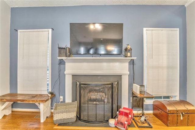 room details featuring wood-type flooring