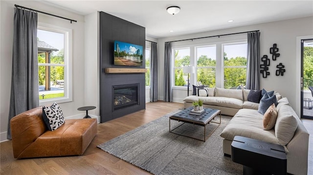 living room with a healthy amount of sunlight and light wood-type flooring