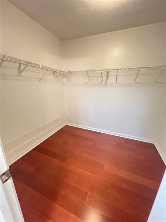 spacious closet featuring wood-type flooring