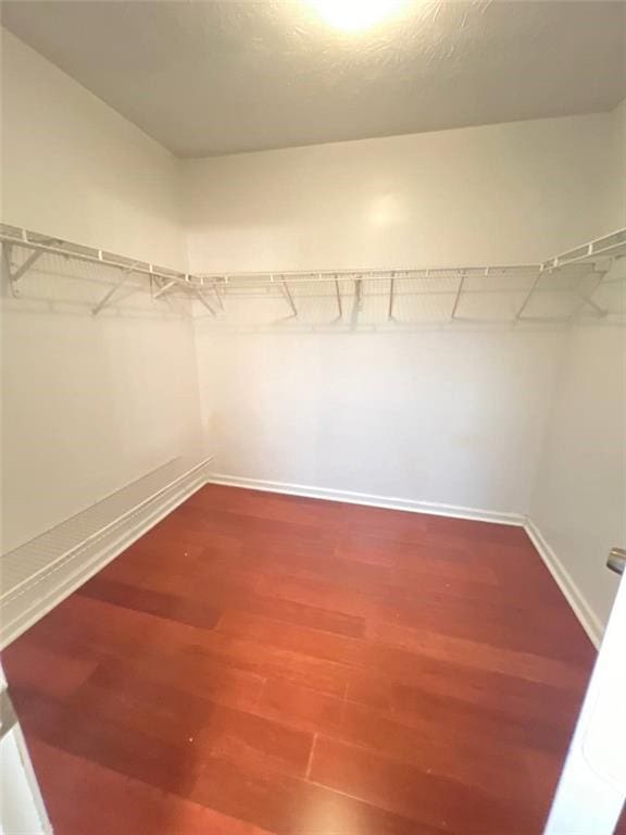 walk in closet featuring hardwood / wood-style flooring