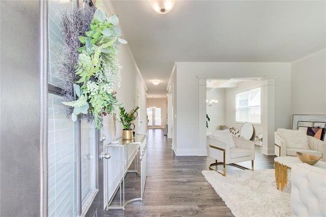 42 Citrine Way, Acworth, GA 30101 - foyer entrance with ornamental molding, wood finished floors, baseboards, and a chandelier