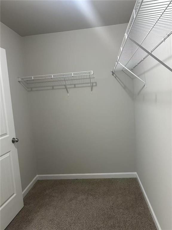 walk in closet with carpet flooring