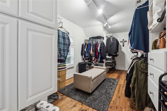 spacious closet featuring wood-type flooring