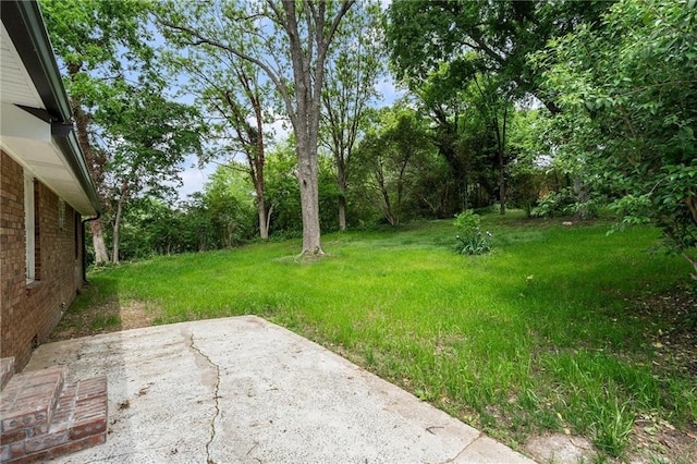 view of yard with a patio