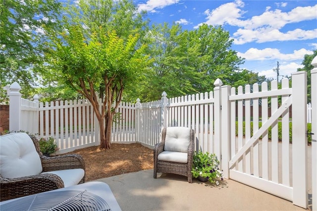 8730 Parker Pl, Roswell, GA 30076 - view of patio featuring a gate