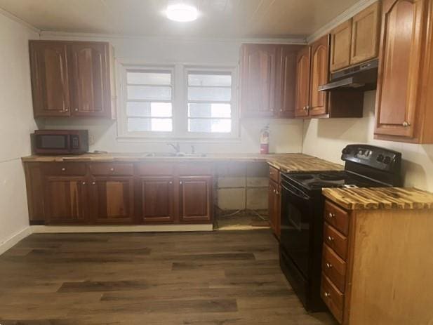 kitchen featuring sink, electric range, and dark hardwood / wood-style floors