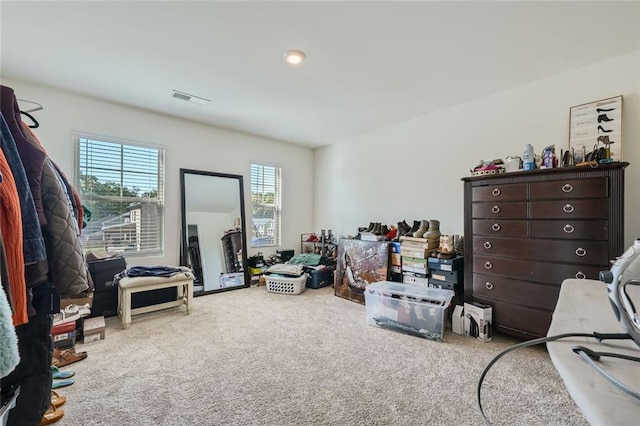 interior space with light carpet