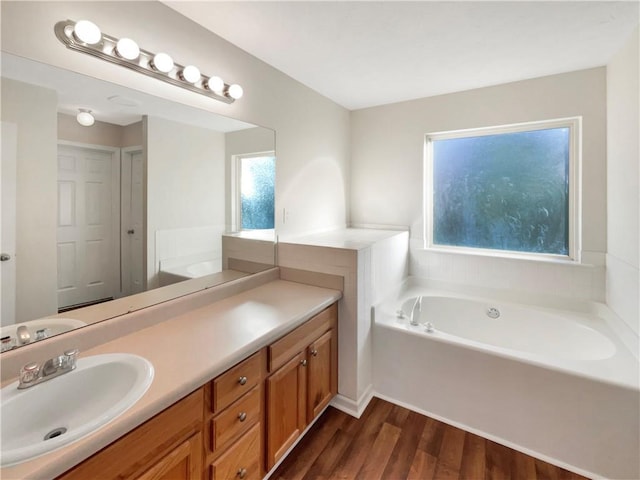 bathroom with vanity, a bath, and wood finished floors