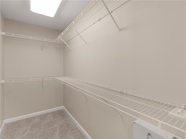 spacious closet featuring carpet flooring