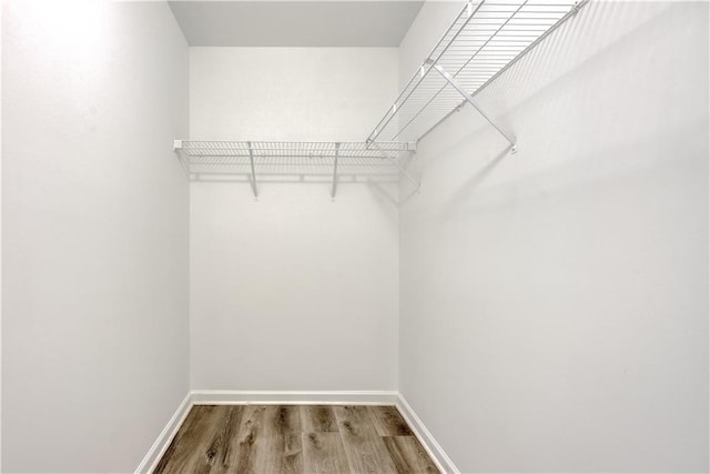 spacious closet with wood finished floors