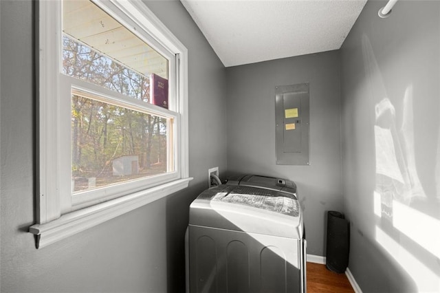 laundry room with washer hookup, electric panel, and dark hardwood / wood-style floors