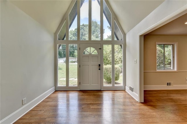 entryway featuring high vaulted ceiling, wood-type flooring, and a healthy amount of sunlight