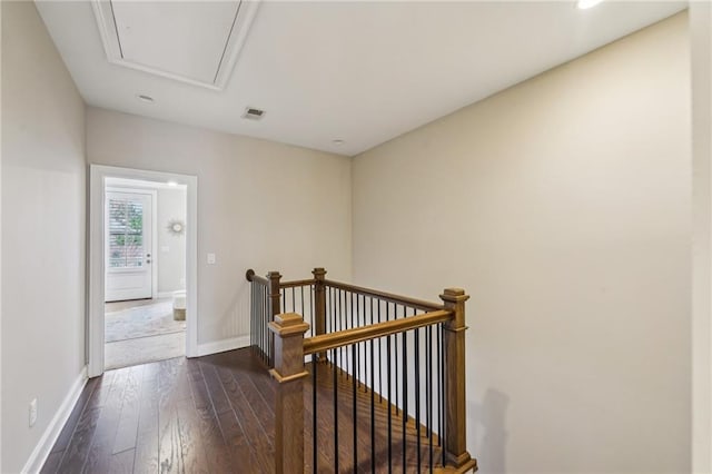 corridor featuring dark hardwood / wood-style flooring