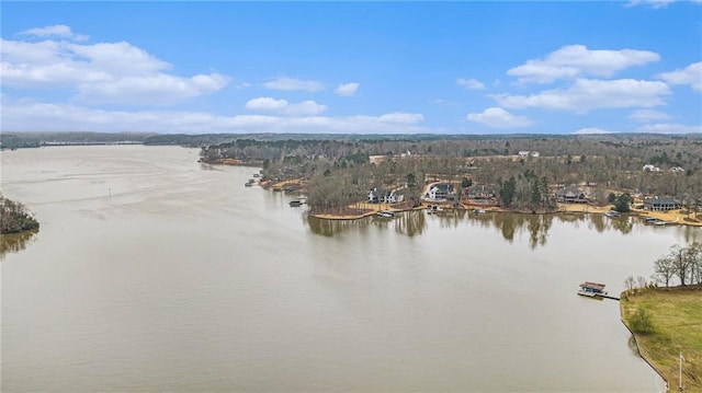 property view of water