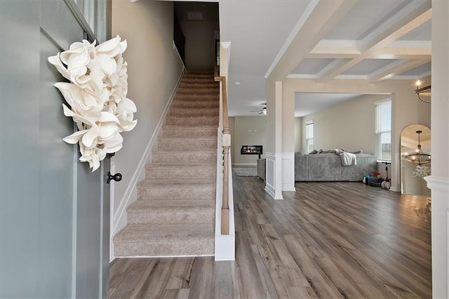 stairway with beam ceiling, coffered ceiling, ceiling fan with notable chandelier, and hardwood / wood-style floors