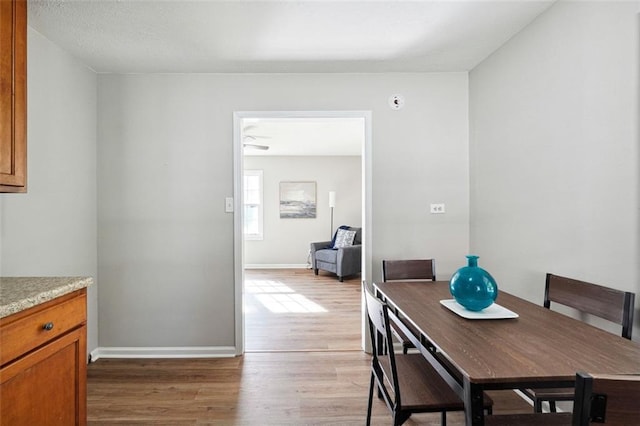 dining room featuring light hardwood / wood-style flooring