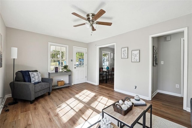 living room with ceiling fan and hardwood / wood-style floors