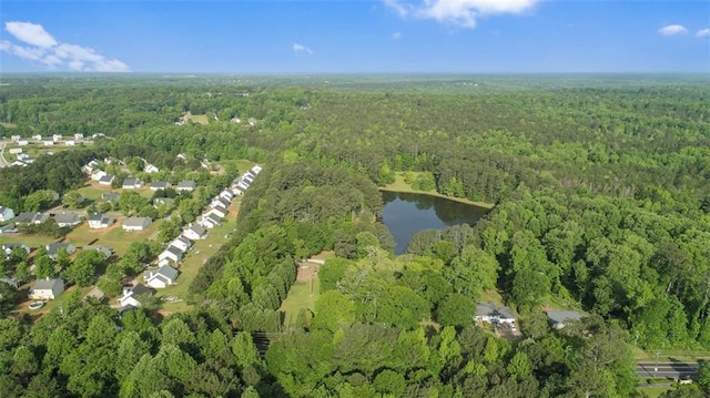 711 S Pine Hill Rd, Griffin, GA 30224 - aerial view of property's location featuring a forest and a nearby body of water