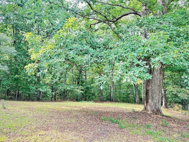 60 Parkman Trl, Covington, GA 30016 - view of yard featuring a view of trees