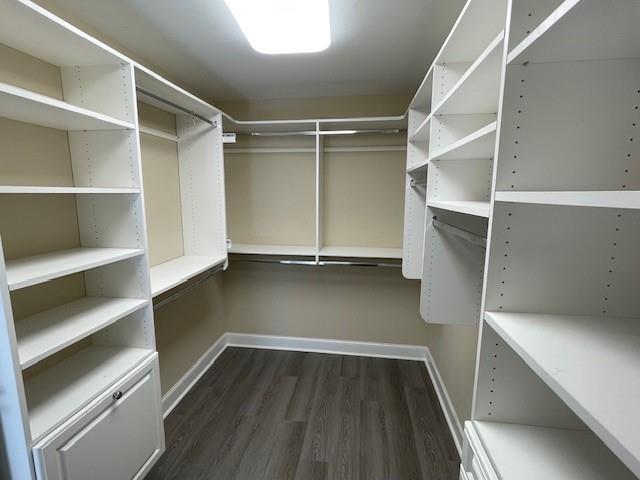 walk in closet with dark hardwood / wood-style floors