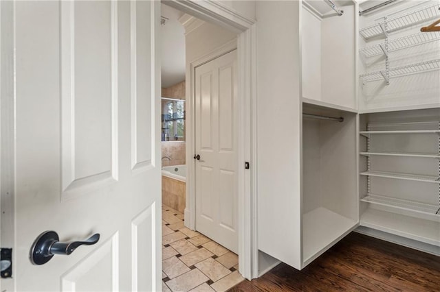 view of walk in closet