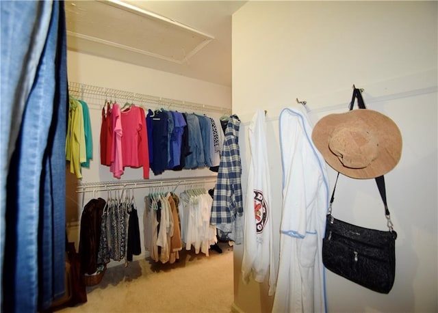 340 Channings Lake Dr, Lawrenceville, GA 30043 - walk in closet featuring attic access and carpet floors