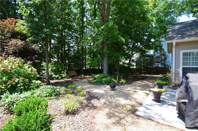 340 Channings Lake Dr, Lawrenceville, GA 30043 - view of yard