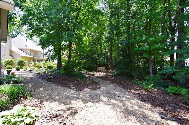 340 Channings Lake Dr, Lawrenceville, GA 30043 - view of yard