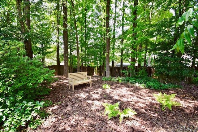 340 Channings Lake Dr, Lawrenceville, GA 30043 - view of yard