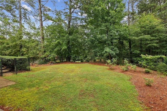 119 Kennemer Ct, Duluth, GA 30097 - view of yard