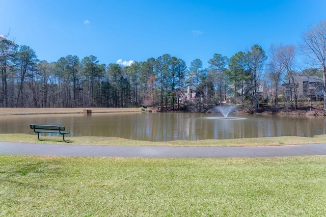 view of water feature