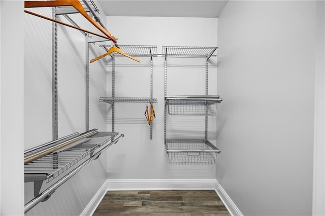 spacious closet with wood finished floors