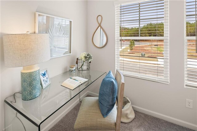204 Epping St Unit 2, Stockbridge, GA 30281 - carpeted office space with baseboards