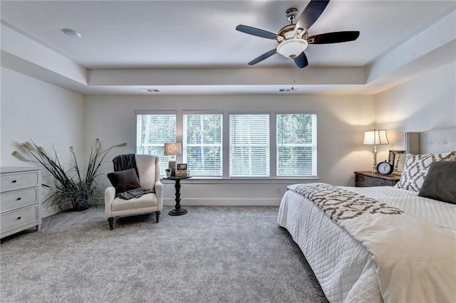 bedroom featuring multiple windows, carpet, and a raised ceiling