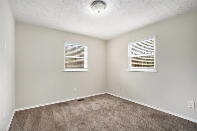 empty room featuring a textured ceiling, light colored carpet, and a healthy amount of sunlight