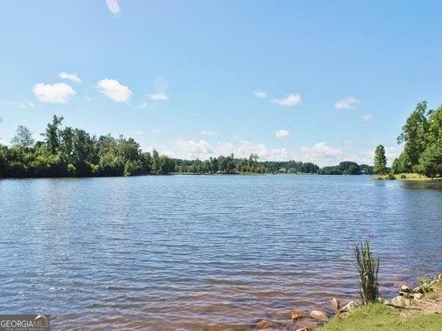 5 Corbel Way, Newnan, GA 30265 - water view
