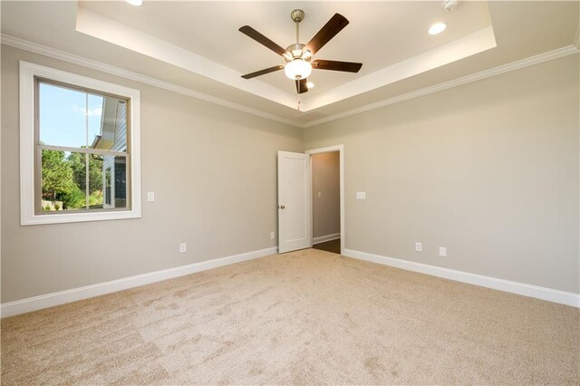 spare room with carpet floors, a raised ceiling, crown molding, and ceiling fan