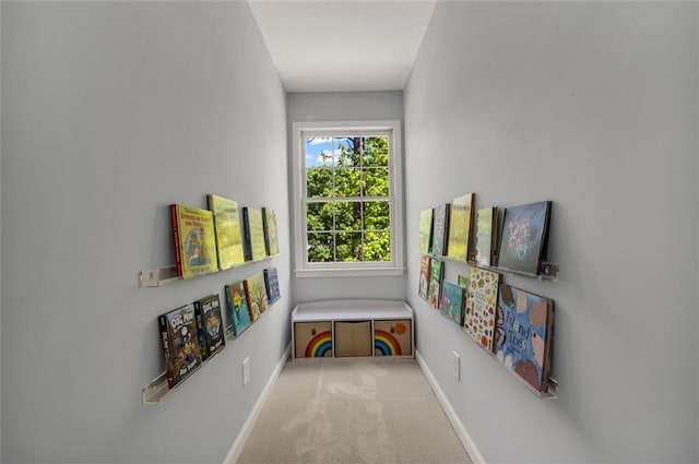 rec room featuring baseboards and carpet flooring