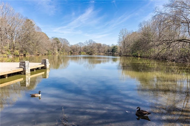 dock area featuring a water view