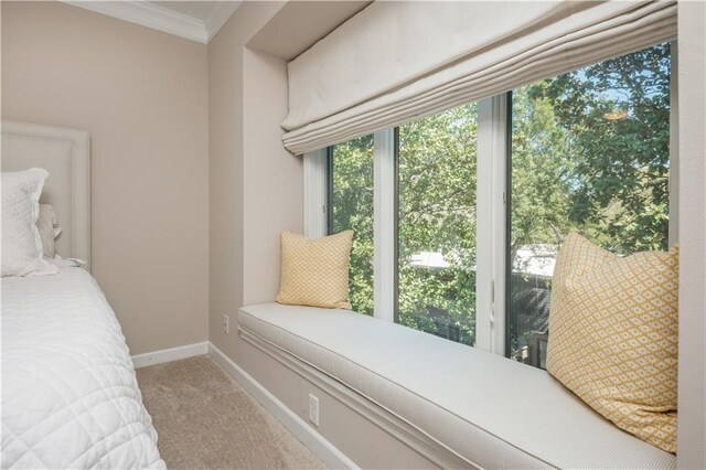 39 Ivy Gates NE, Atlanta, GA 30342 - bedroom with crown molding, carpet floors, and baseboards