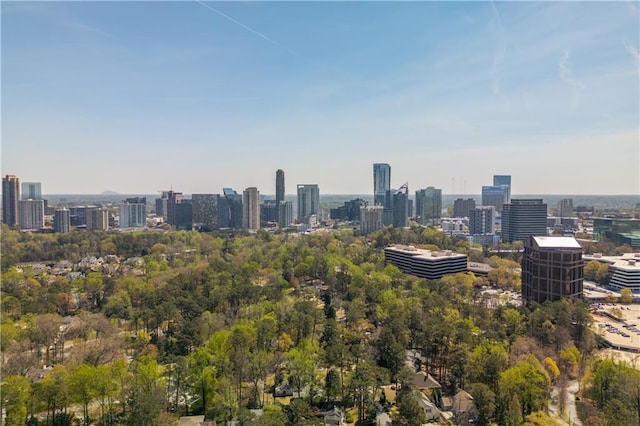 39 Ivy Gates NE, Atlanta, GA 30342 - view of city